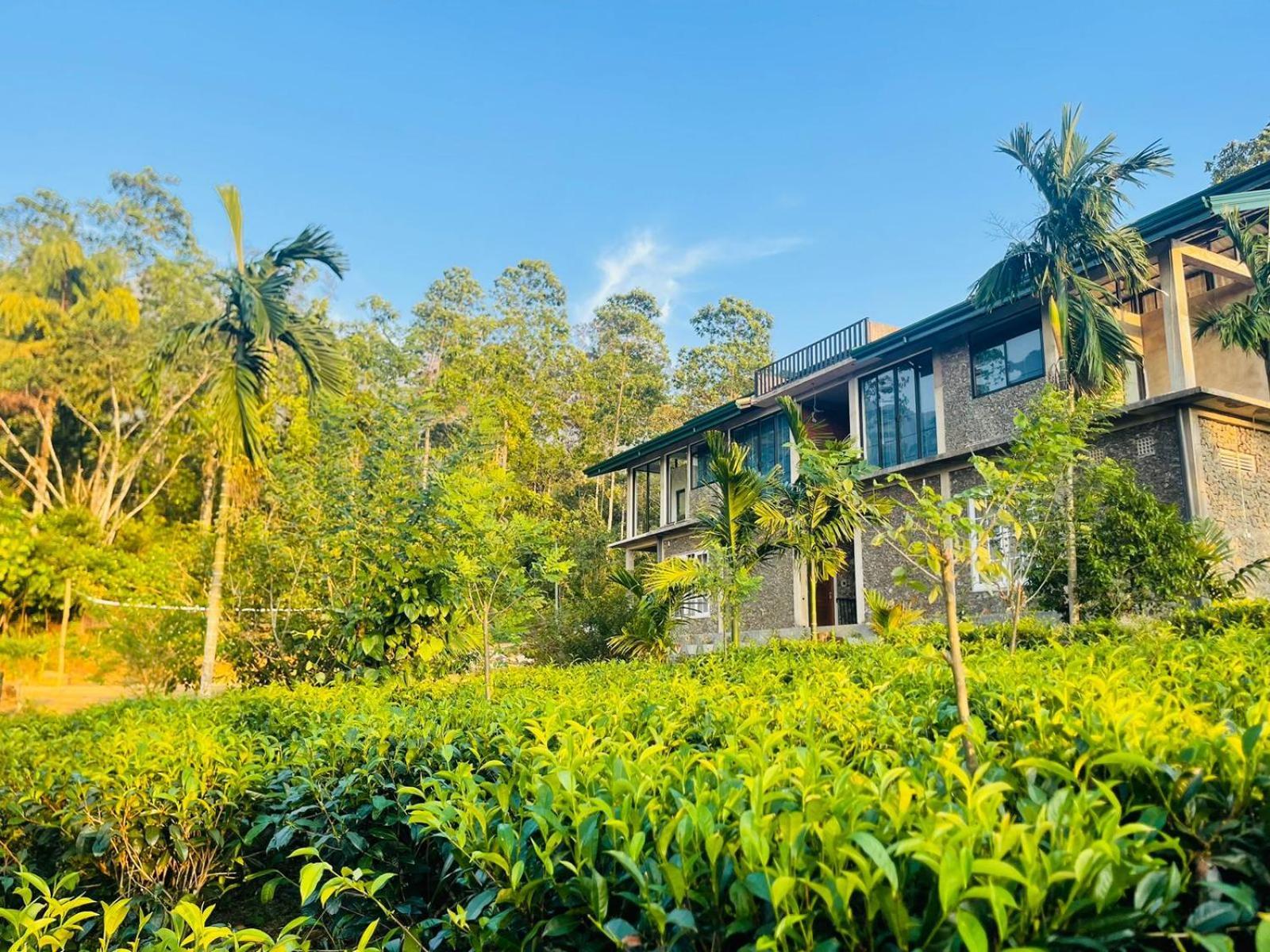 Palabaddala Tea And Eco Lodge Ratnapura Exteriör bild